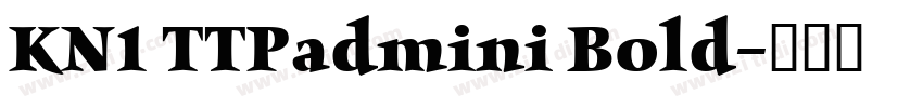 KN1 TTPadmini Bold字体转换